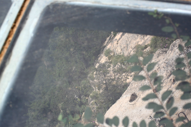 天下第一仙山洛阳老君山,天下奇山老君山视频