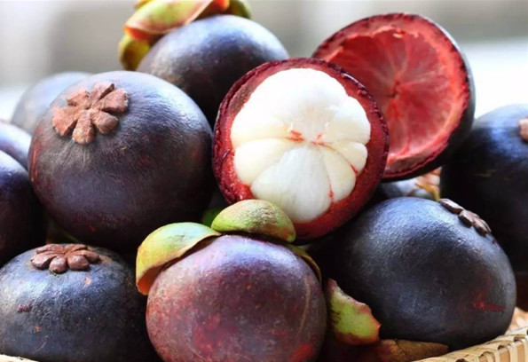 泰国山竹为什么是脆的,泰国山竹怎么挑选好的