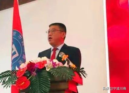 骏马飞驰辽阔的大草原,骏马飞驰辽阔草原