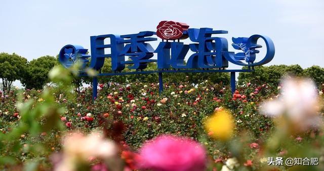 合肥三河网红景点,合肥十大网红景点