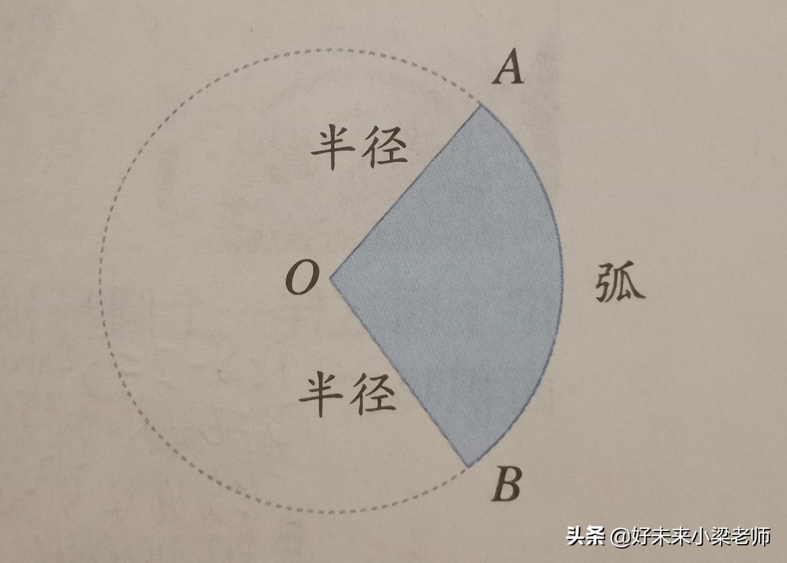 六年级数学圆复习课堂实录,数学课时练六年级上册小卷圆