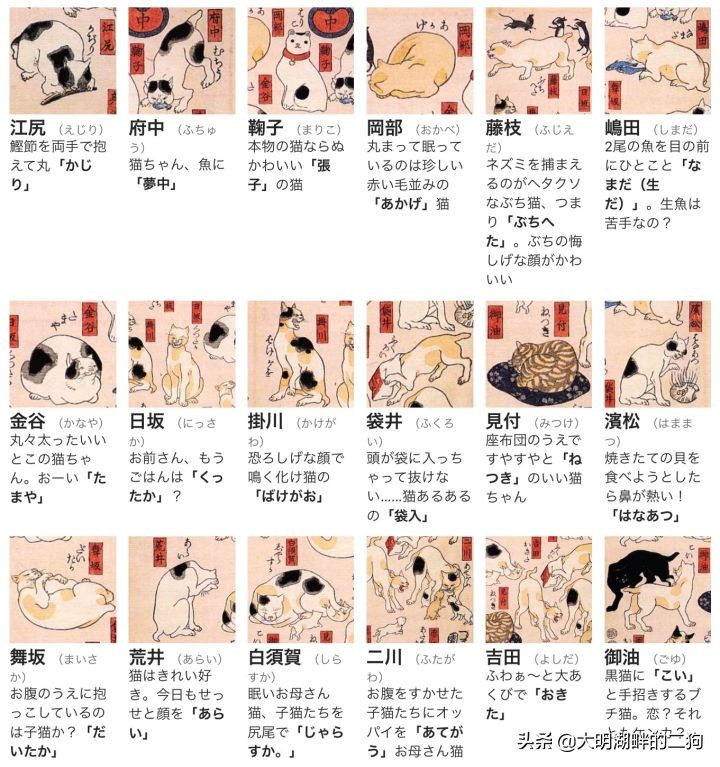 日本皇室特别喜欢给动物封官，每一个级别都比大名高