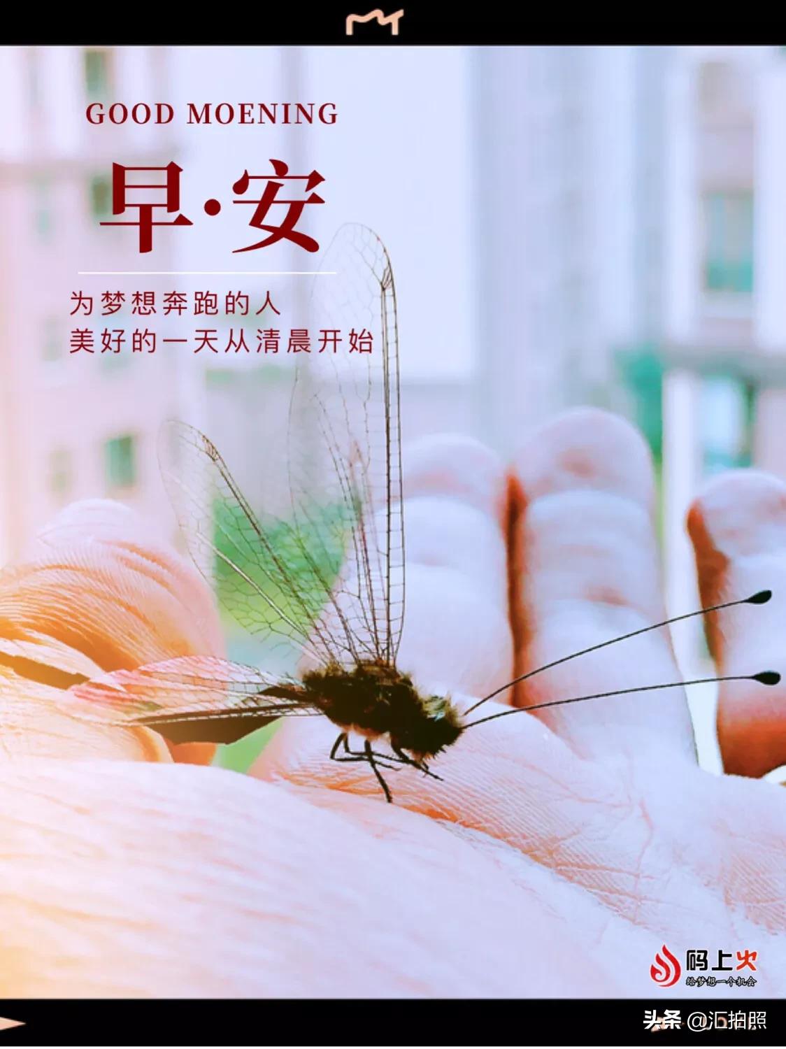 记住摄影口诀，轻松拍出好照片！