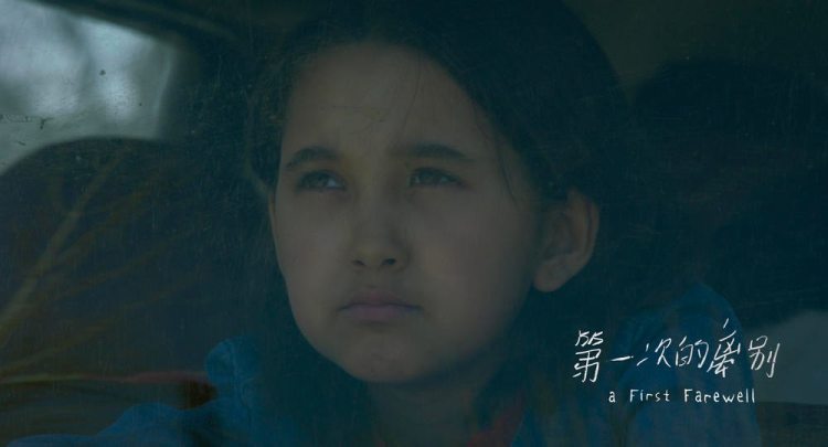 油画般的电影风格,油画般画质的电影