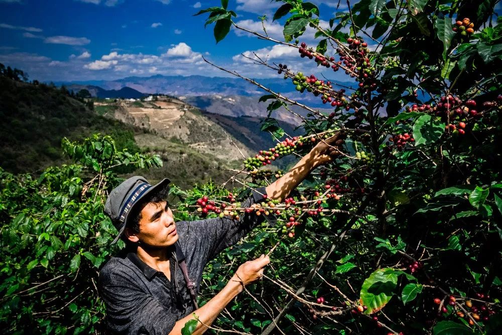 拼多多如何做商业模式,想做拼多多有几种模式
