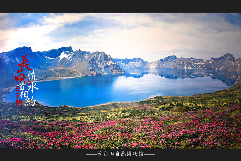 冰雪总动员简介,冰雪总动员