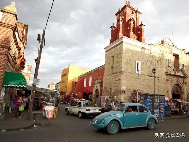 在这里你可以看到绚烂多彩的甲壳虫，因为他们是这里的精灵