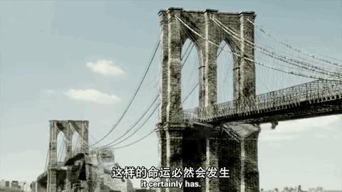 海豚“杰克”在暗礁海域为船只引航41年，爱让我们更懂得善待生命