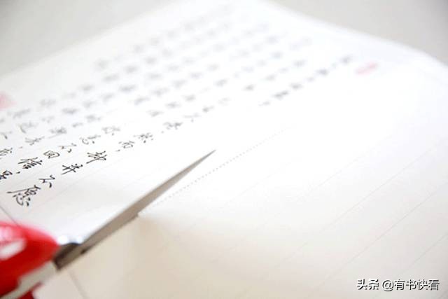 45岁徐静蕾简介,46岁徐静蕾水彩书法