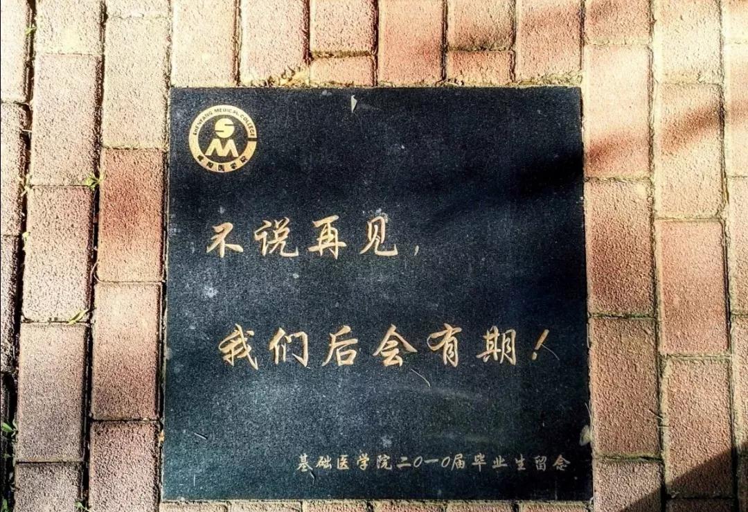 辽宁沈阳的医学大学,了解一下沈阳医学院