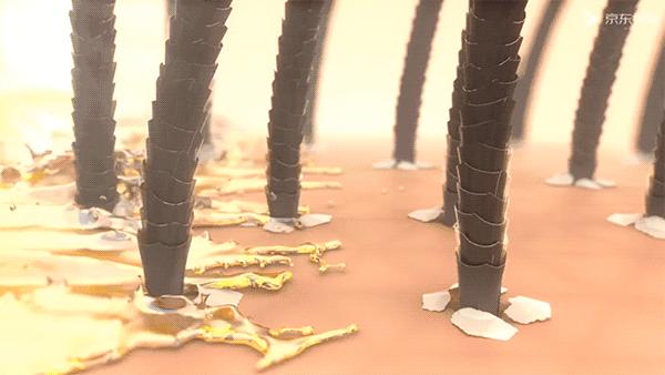 头皮痒螨虫成千上万,头皮痒是病的前兆螨虫作怪吗