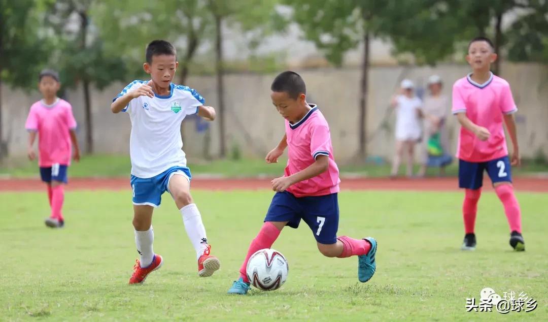 区中小学足球联赛,体教融合杯中学篮球赛