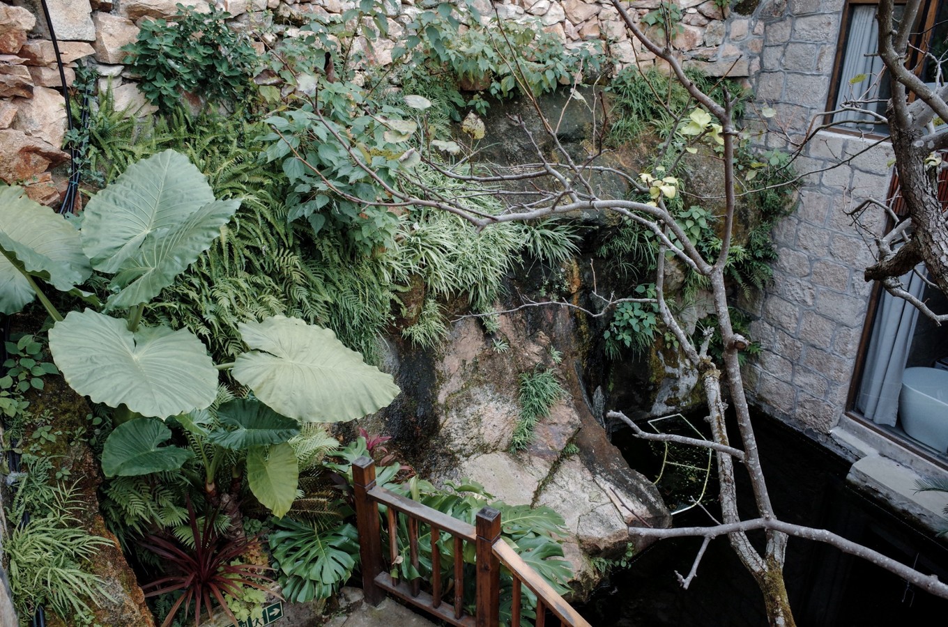 推荐一下石塘的民宿,怀旧民宿石塘