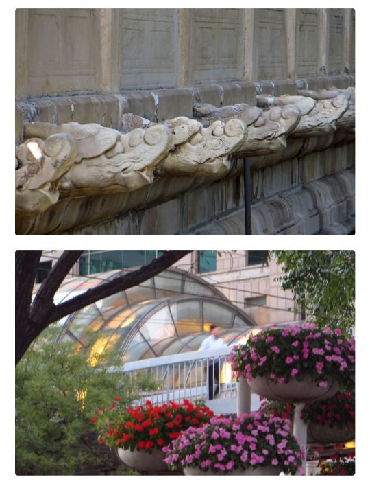 知乎中国与美国有什么相同与不同,知乎网友对中国美国发展的评论