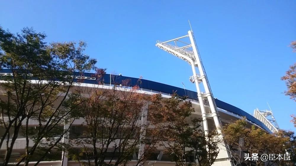 2020年东京奥运会看点大盘点,2020东京奥运会有哪些亮点