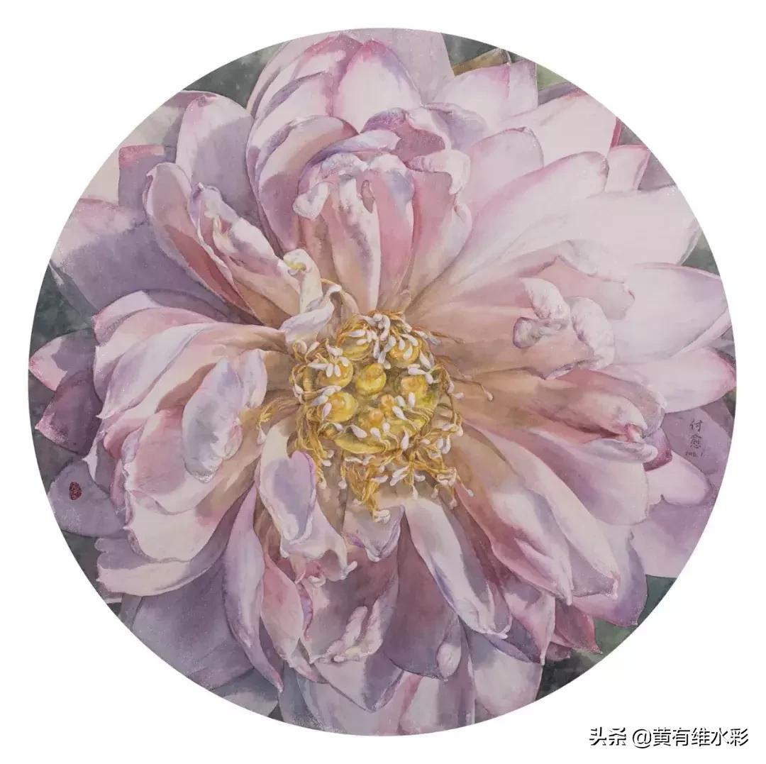 小清新水彩画玫瑰花,水彩画雨中玫瑰