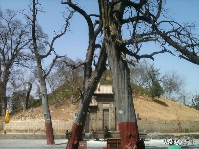 淮阳区太昊陵最新消息,天下第一陵伏羲太昊陵