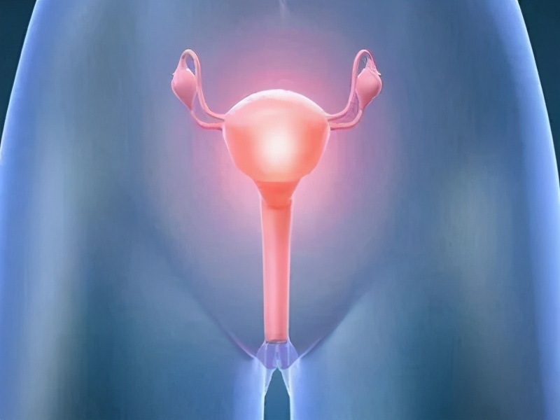 细菌性阴道炎的“克星”，经常吃远离妇科疾病