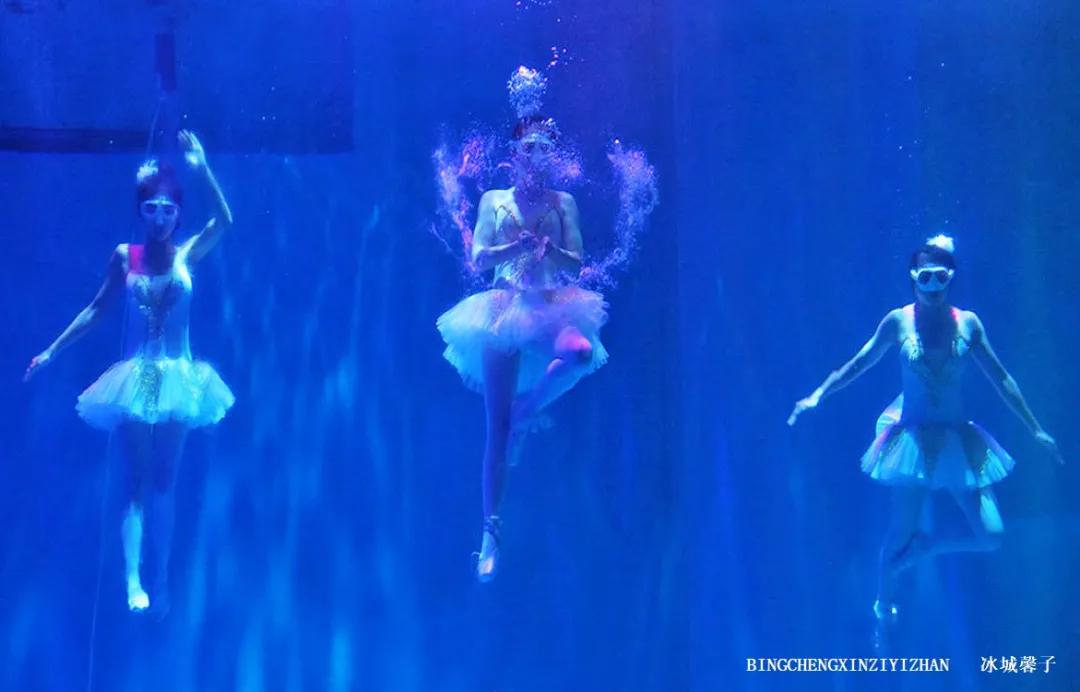 走进哈尔滨完整视频,走进哈尔滨海洋馆