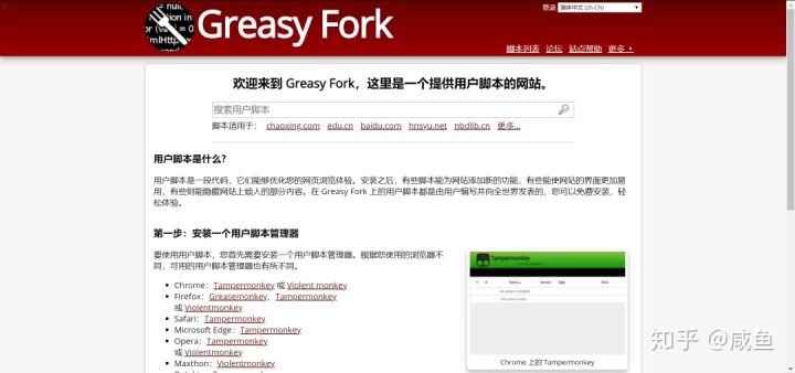 微软浏览器实用扩展,safari浏览器最实用的扩展