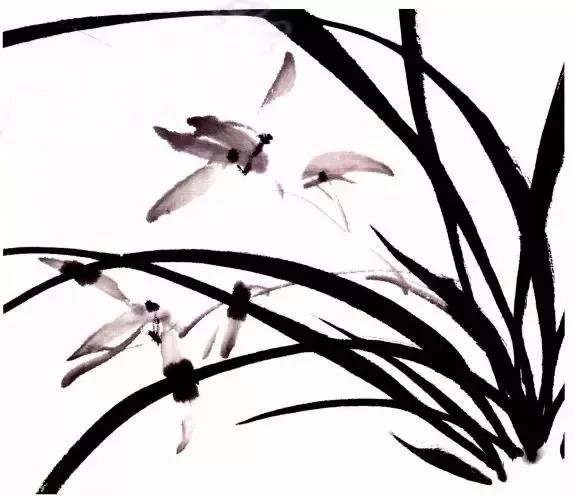 国画兰花绘画图,简单国画兰花画法教程