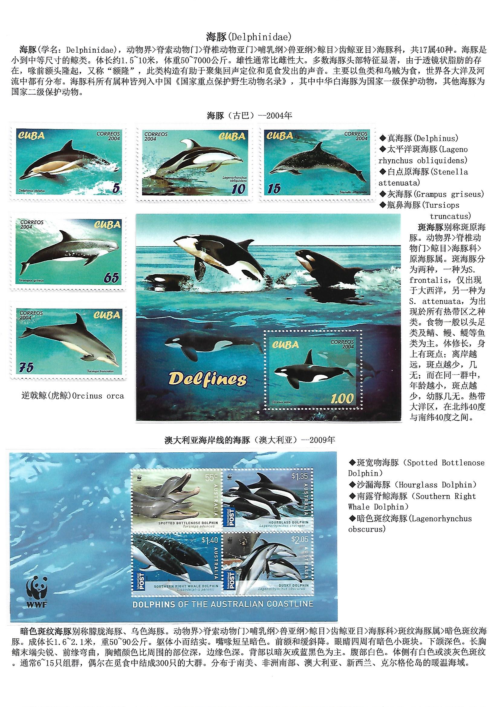 鲸和鲨（WhaleShake）