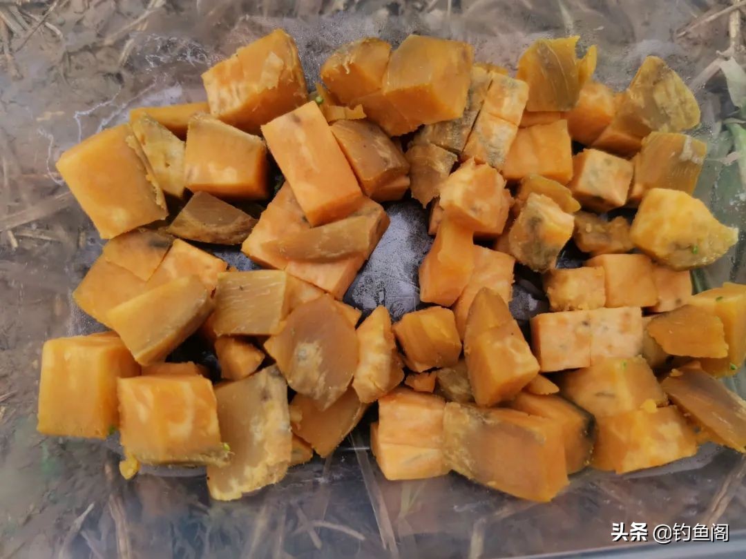 鲤鱼喜欢什么味型的窝料,鲤鱼喜欢什么窝料