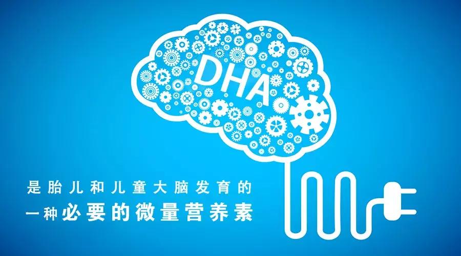 dha到底有多重要该怎么补,为什么儿科医生不建议吃dha