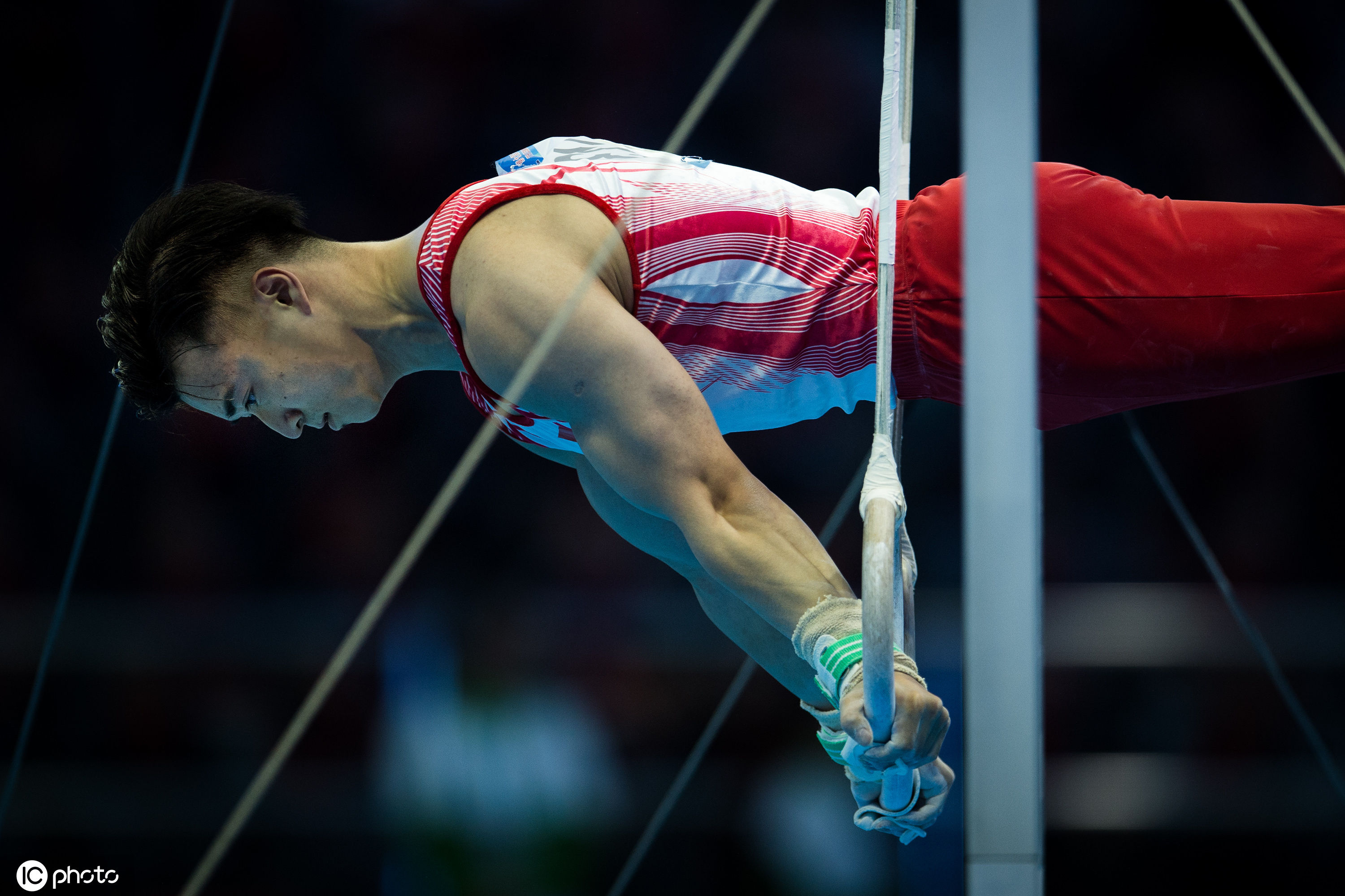 刘洋吊环夺冠,吊环冠军刘洋个人简介