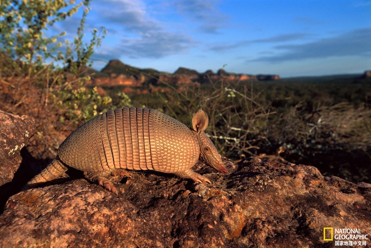 2021年全球最佳旅行目的地,2019年世界最佳旅行目的地榜单