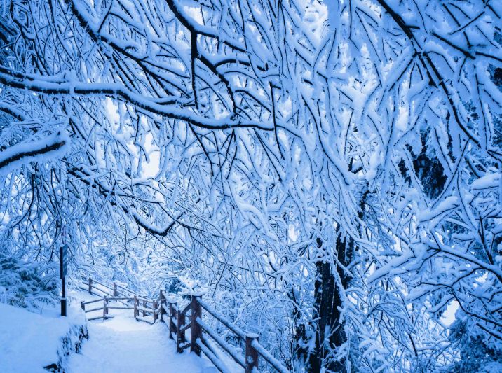 诗词里的二十四节气之大雪,描写节气大雪的诗词