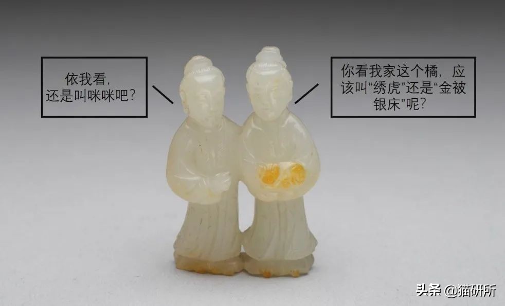 各种花色的猫在古代怎么称呼,猫咪在古代有哪些称呼呢