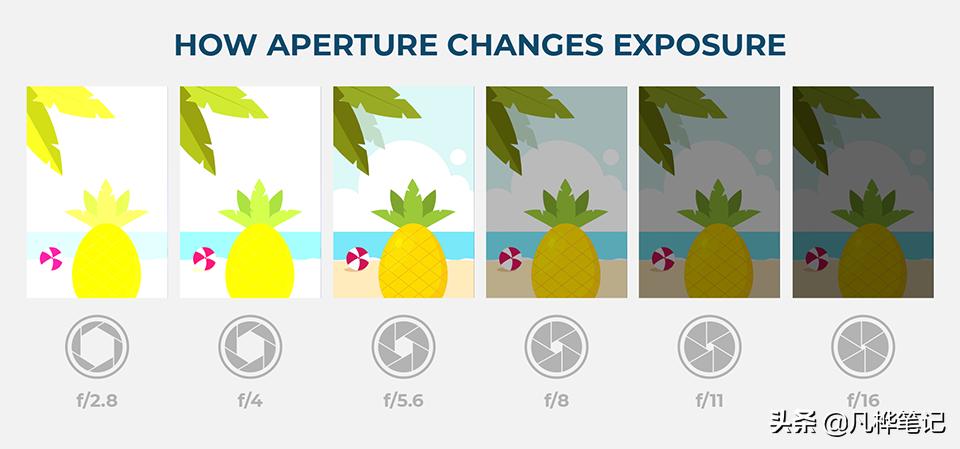 学习摄影入门画质,学习摄影有哪些常识