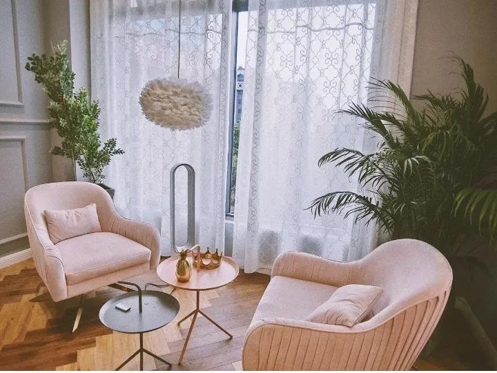 立人设、卖人设，桂林网红甜品店老板娘集资百万后，消失了？