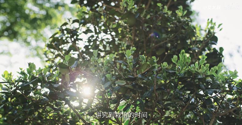 顶级轻奢豪宅屏风隔断,1.58亿豪宅