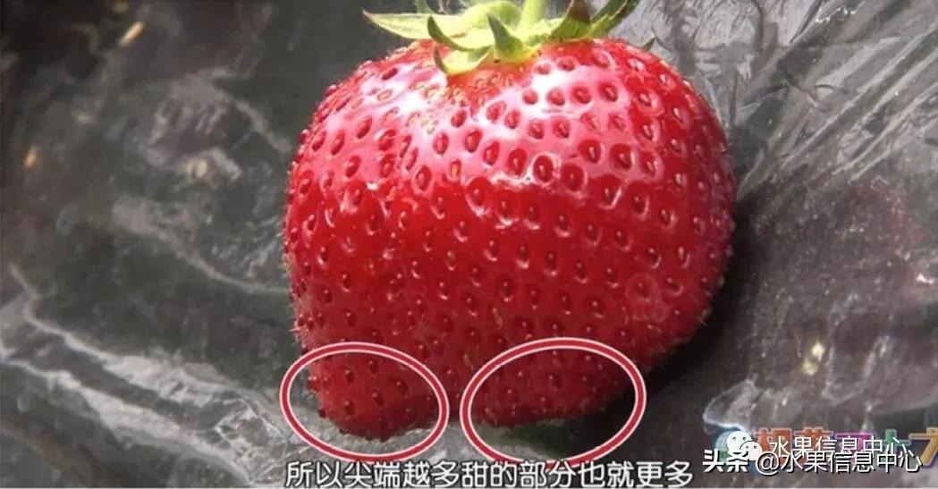 日本水果店怎么挑选,正宗日本水果店