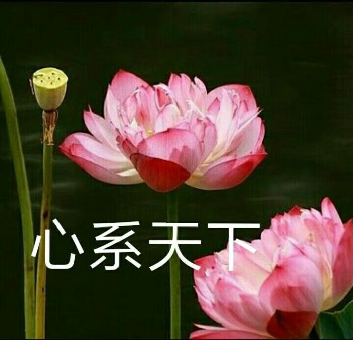 很小众却很惊艳的姐妹可爱头像,姐妹头像一个可爱一个霸气超可爱