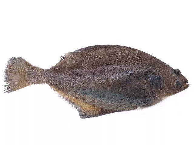 荣成哪种海鲜最值得信赖,荣成海鲜市场最大的螃蟹有多大