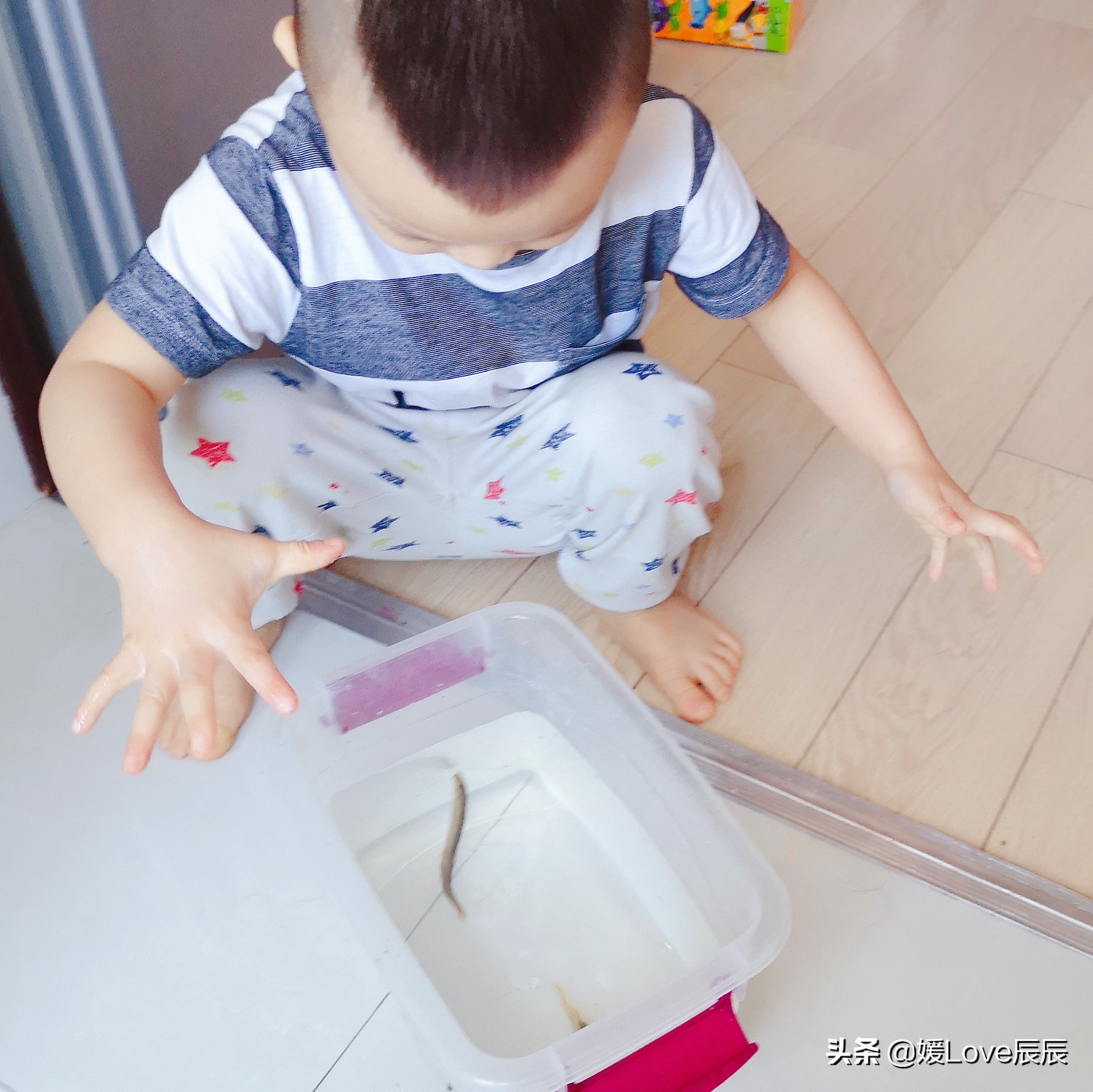 泥鳅和宝宝的亲密接触,认识泥鳅视频幼儿