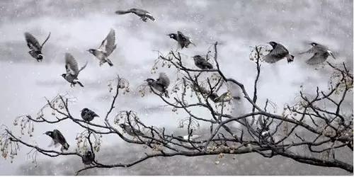 十大经典摄影题材,最好的摄影题材