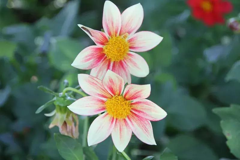 包头市新花海景点,包头最美的地方