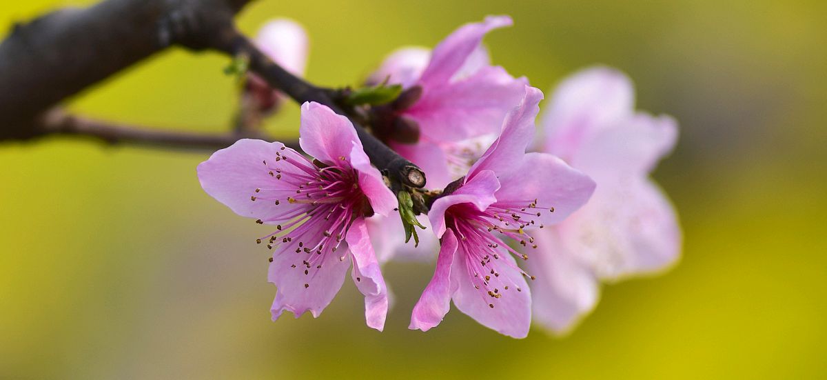 男人和女人三观合不合是指哪三观,家庭三观不合指哪三观