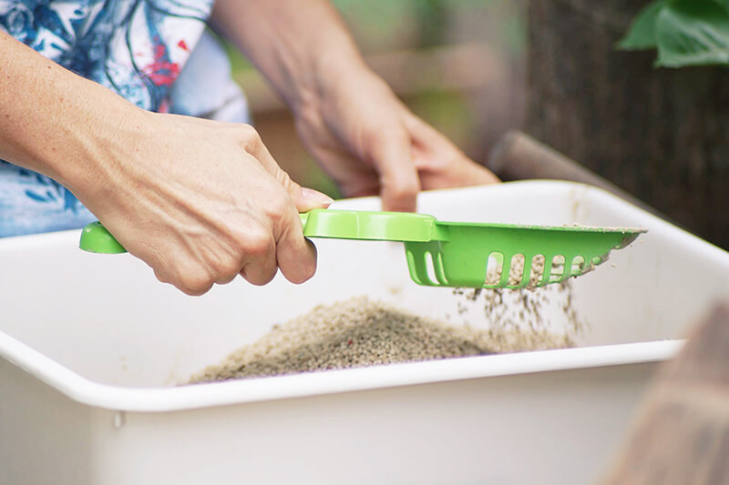 猫砂最好是什么猫砂,猫砂都有什么种类