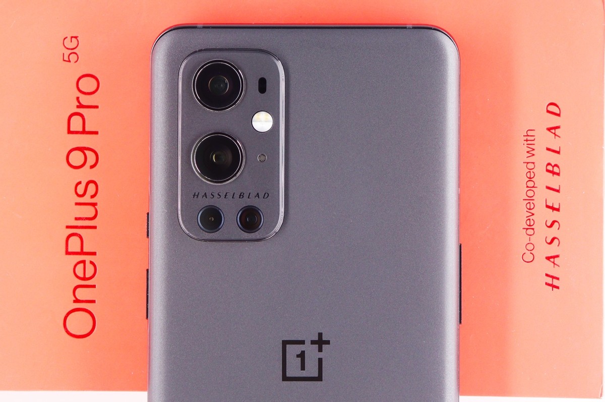 伪球迷看足球比赛,伪球迷看世界杯