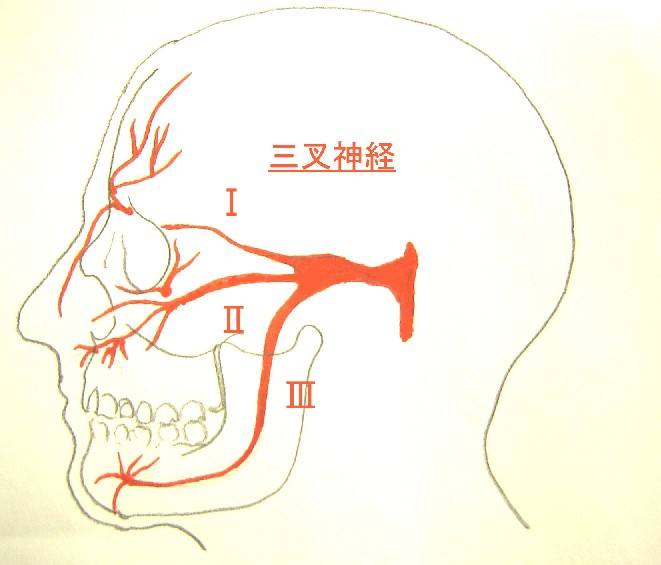 三叉神经痛发病是什么症状,三叉神经痛为什么偏爱中老年人