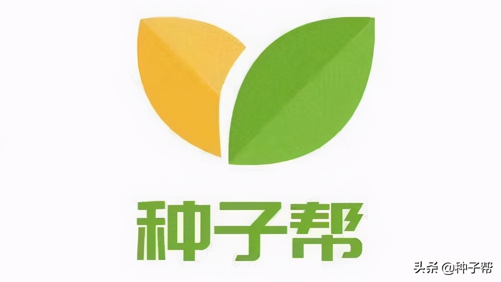 巨菌牧草种植一亩地能赚钱,巨菌牧草种植技术