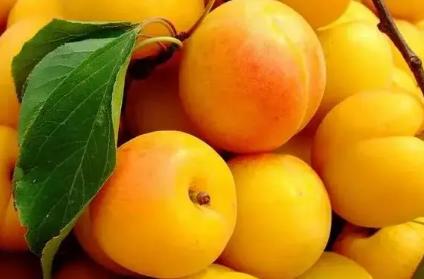 6月有钱没钱，这5颗水果都要买，饭前或饭后吃点，清爽美味营养多