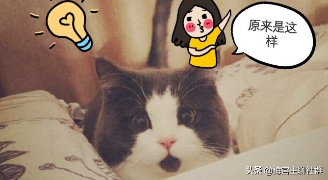 社群营销圈粉客户裂变技巧,社群营销如何增长单量