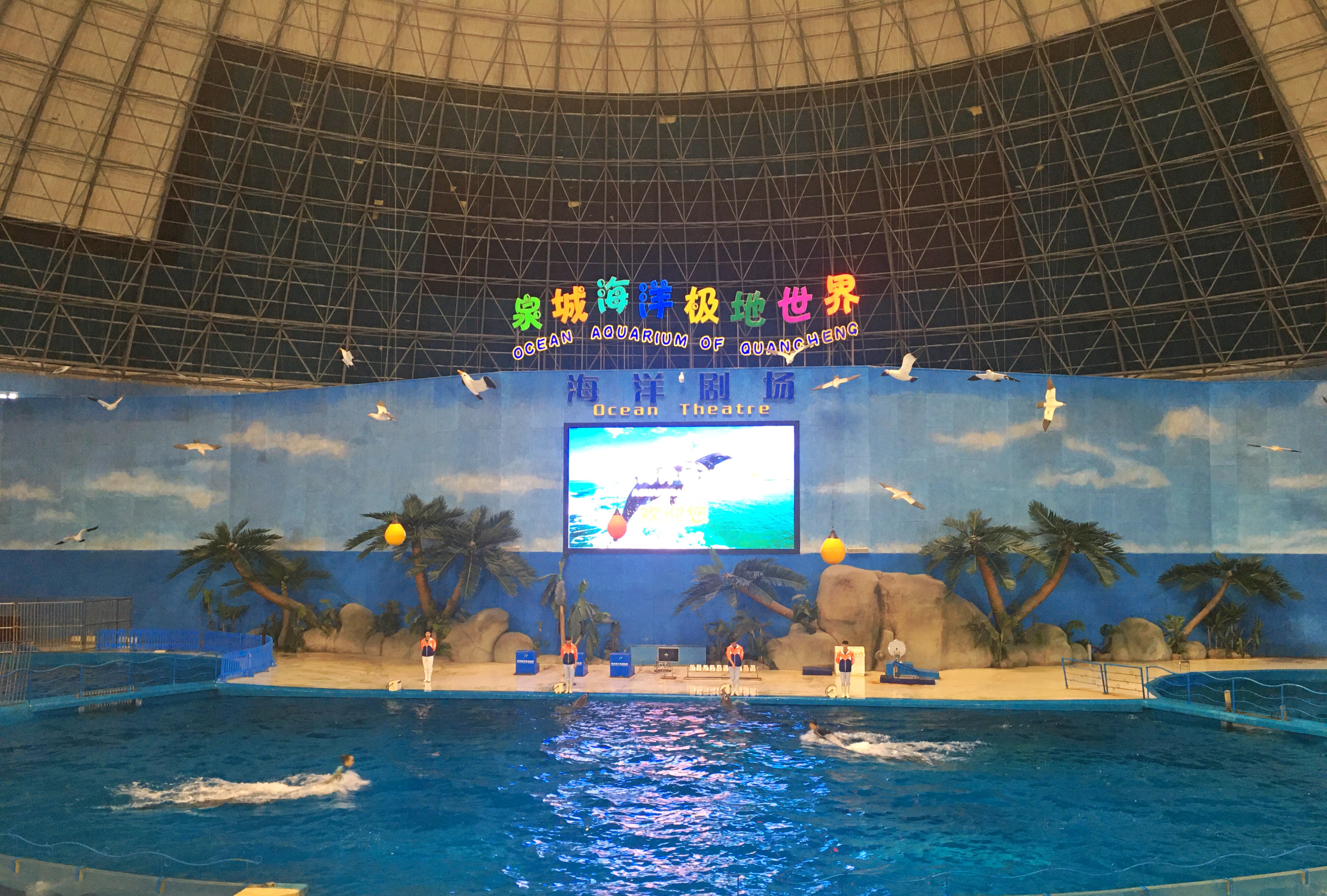 带娃玩的海洋极地世界,欢乐周末带娃时光