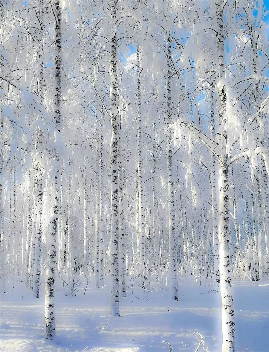鍥涘缇庢爲,鐢板洯缇庢爲